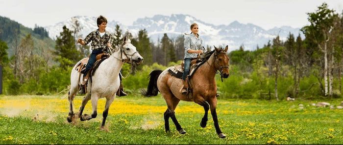 Confident plus-size woman riding Birkdale a horse through a field with a smile on her face.